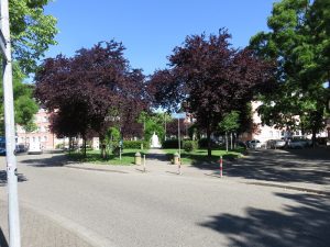 tennenbacher-platz-freiburg-klein