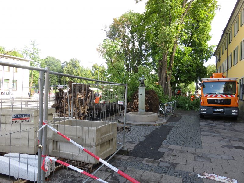 Baum entwurzelt in Freiburg