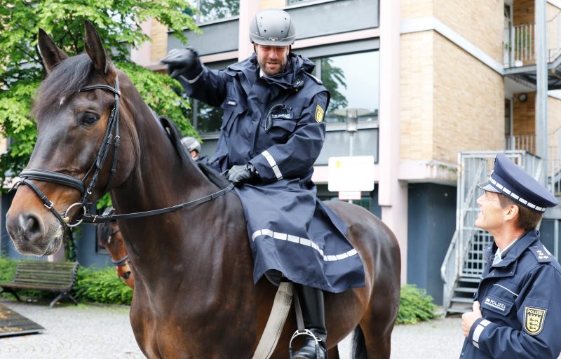 reiterstaffel-freiburg-polizei-pferd