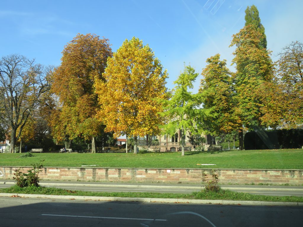 Colombipark in Freiburg (Sicht vom Hotel Colombi)