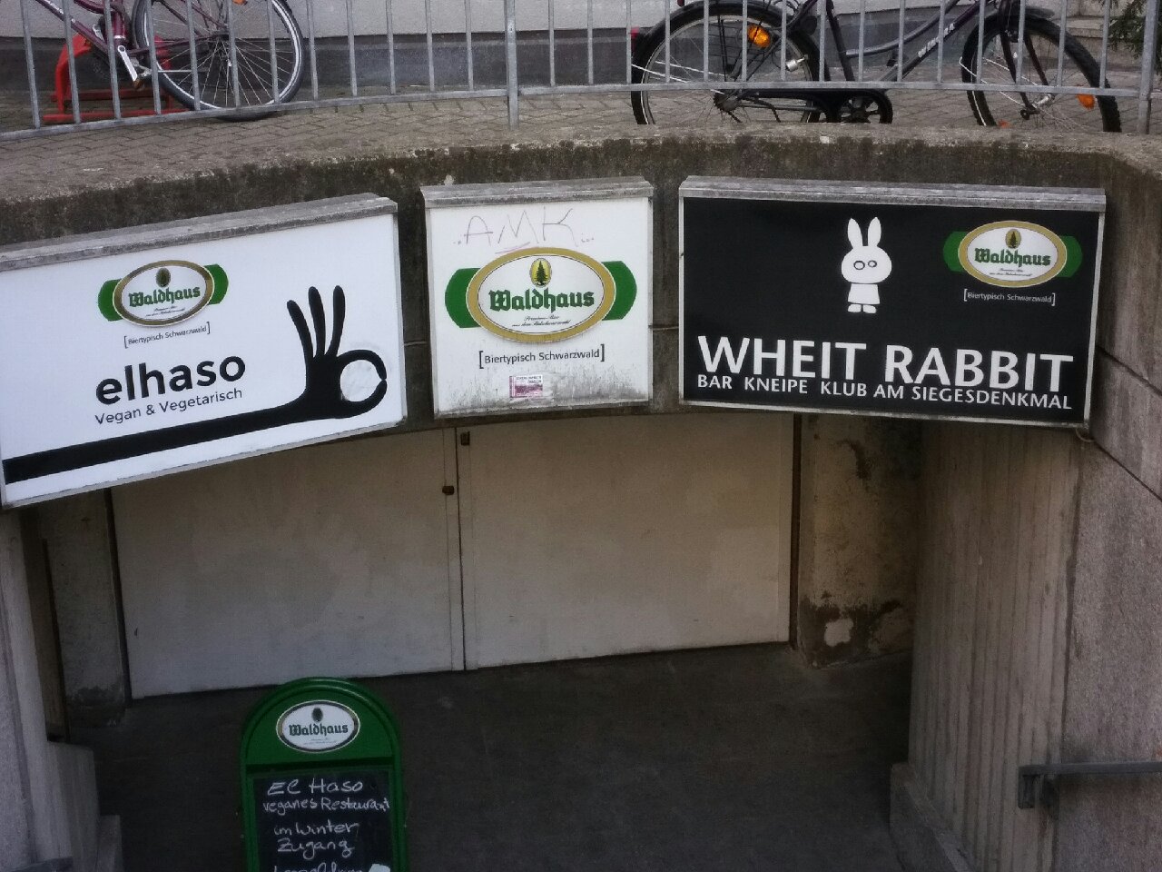 wheit Rabbit - White Rabbit Freiburg