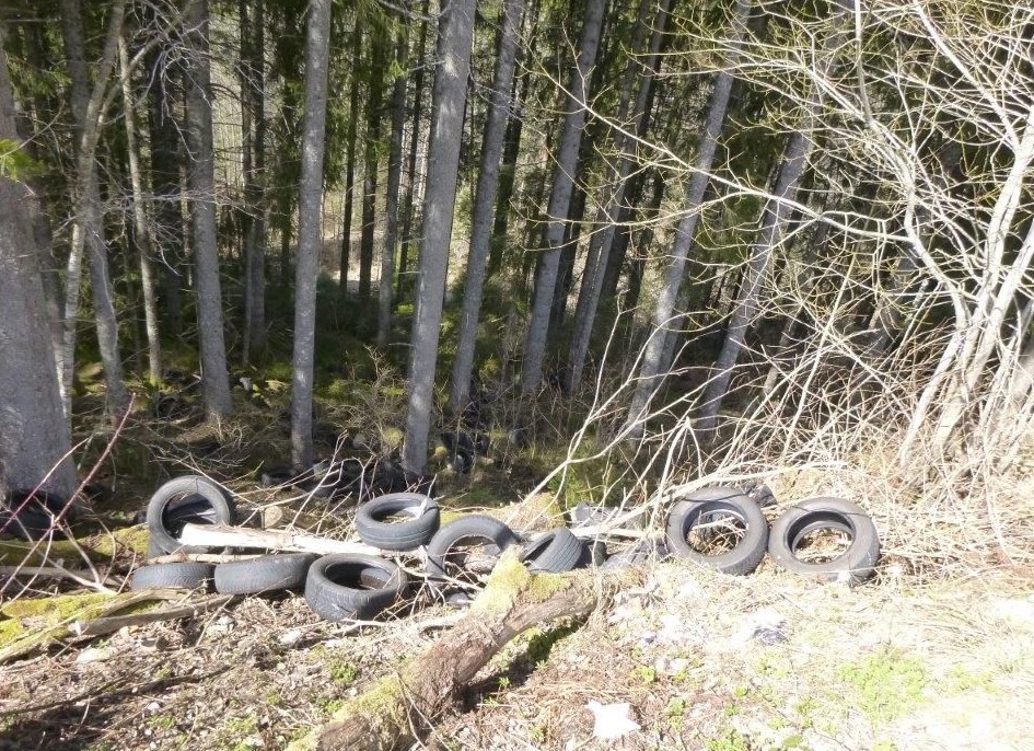 altreifen-schluchsee-B500-polizei