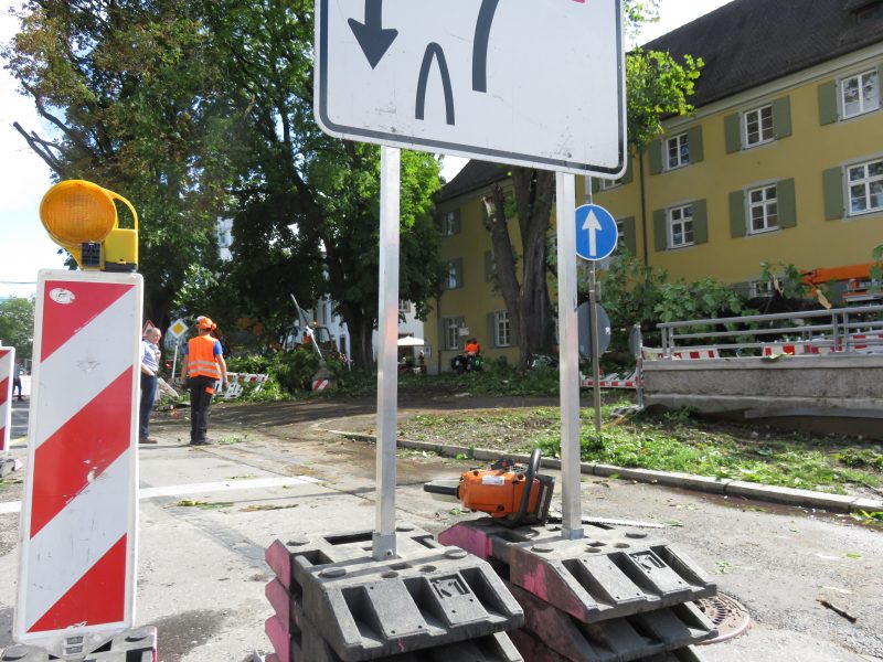 baum-rathausgasse-unwetter-freiburg