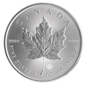 Maple Leaf in Silber