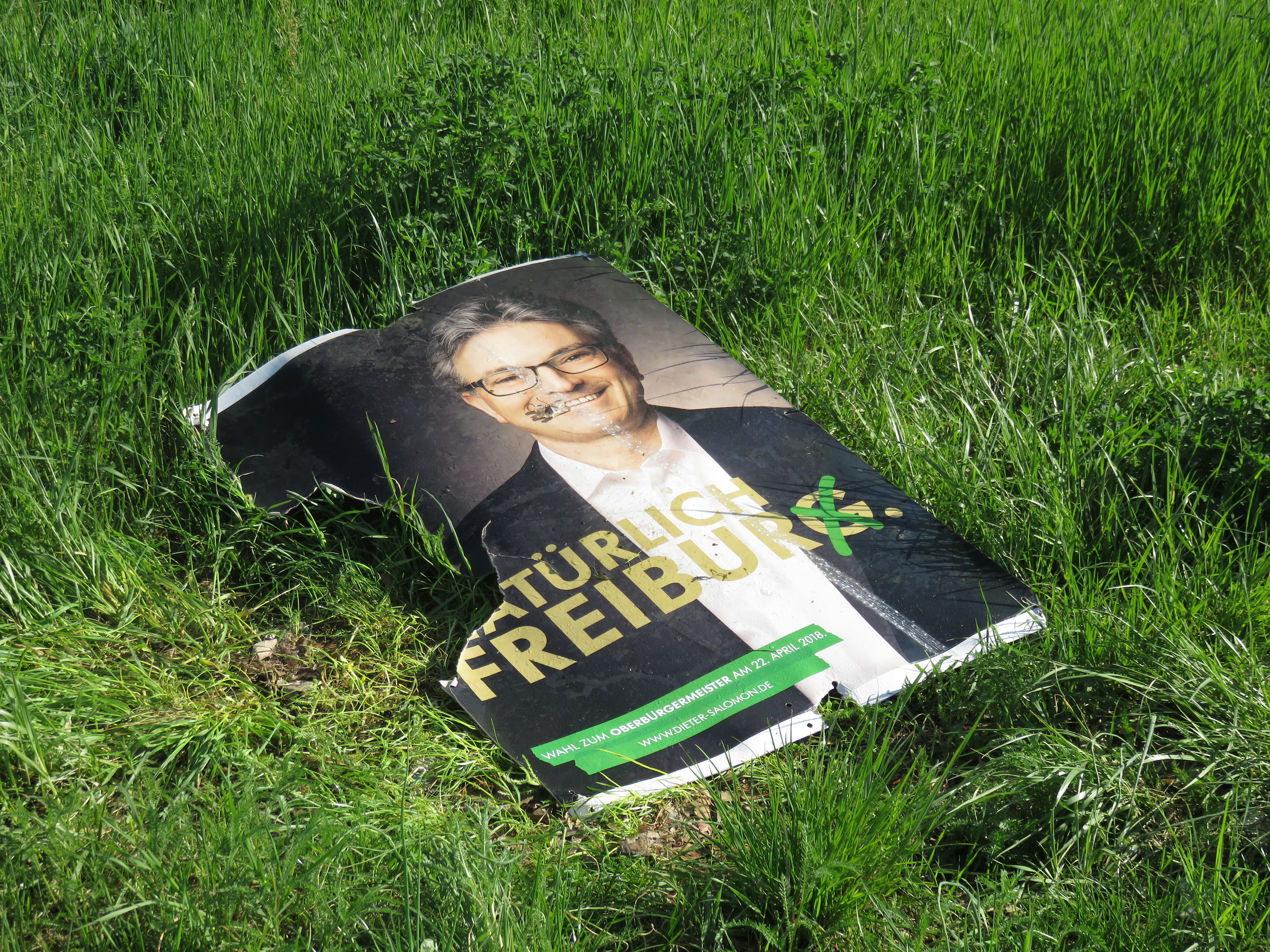 salomon-wahlplakat-freiburg-ob-wahl-2018-colourbox