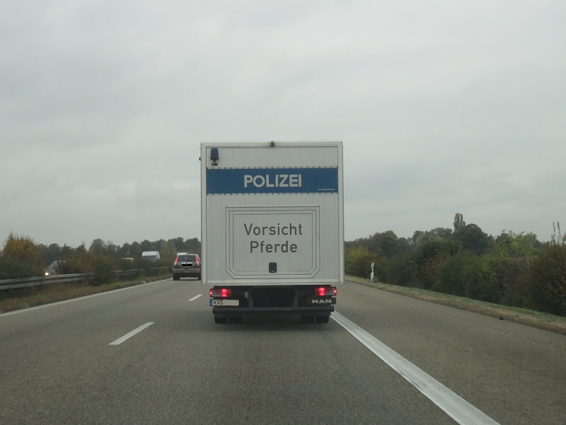 Pferde-polizei-autobahn-reiterstaffel