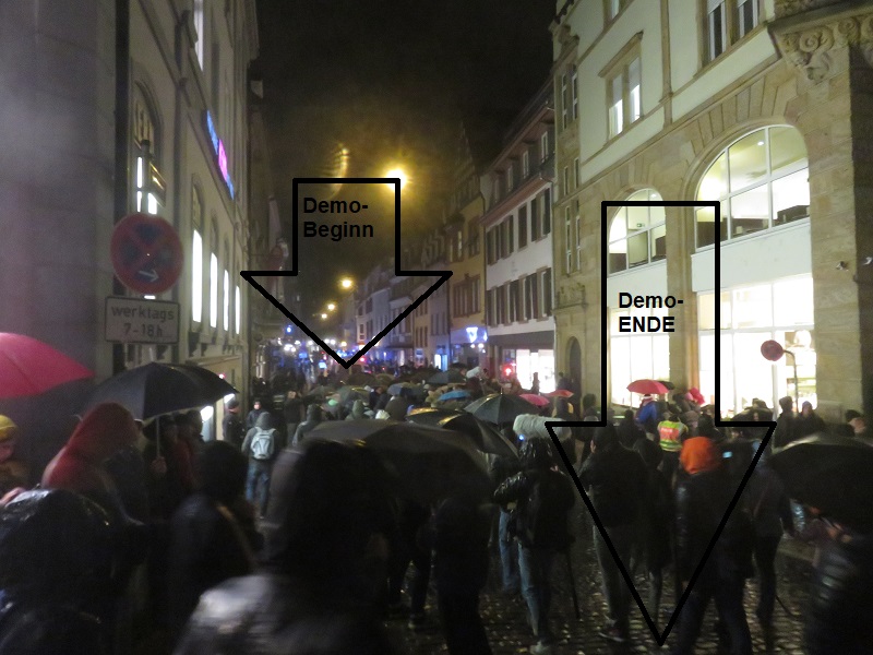 afd-demo-freiburg