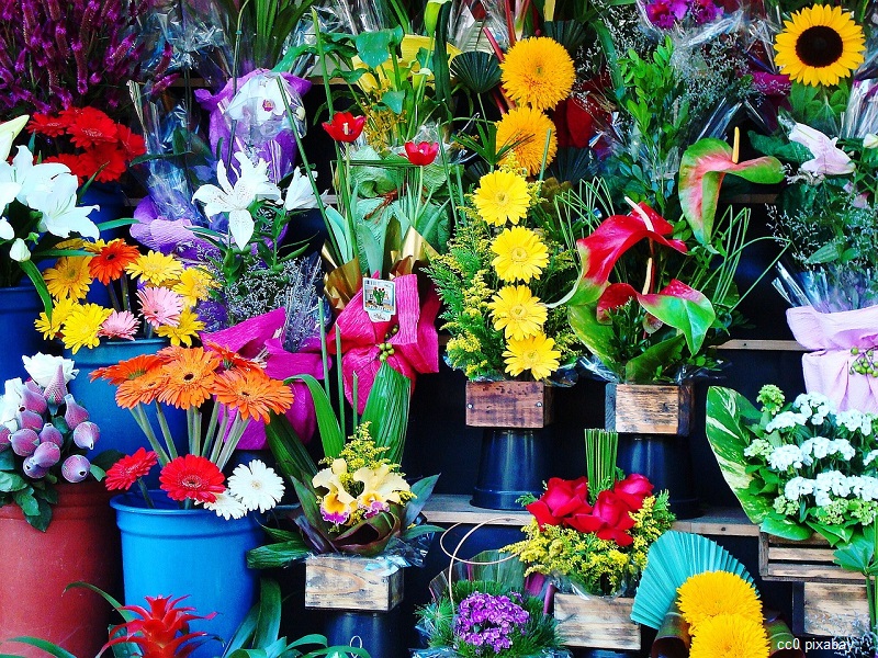 blumen-geschaeft-freiburg-einbruch