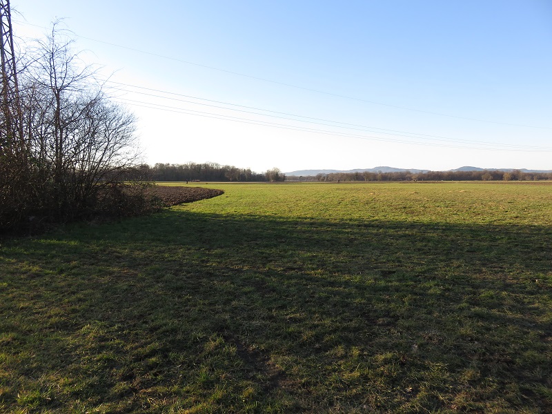 dietenbach-gelaende