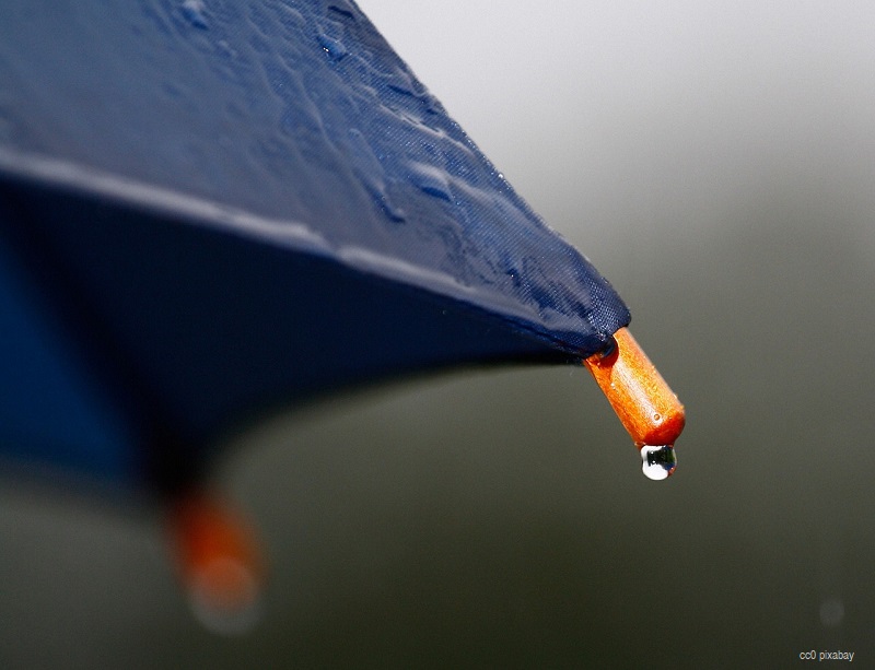 Regenschirm Freiburg