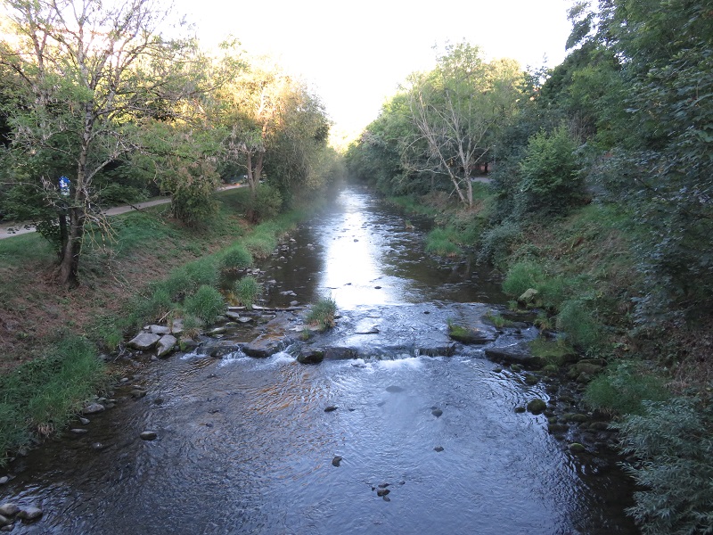 Dreisam mit Dreisamuferweg