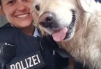 hund-karlson-bundespolizei-offenburg