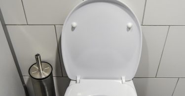 toilette-klo-wc-exhibitionist