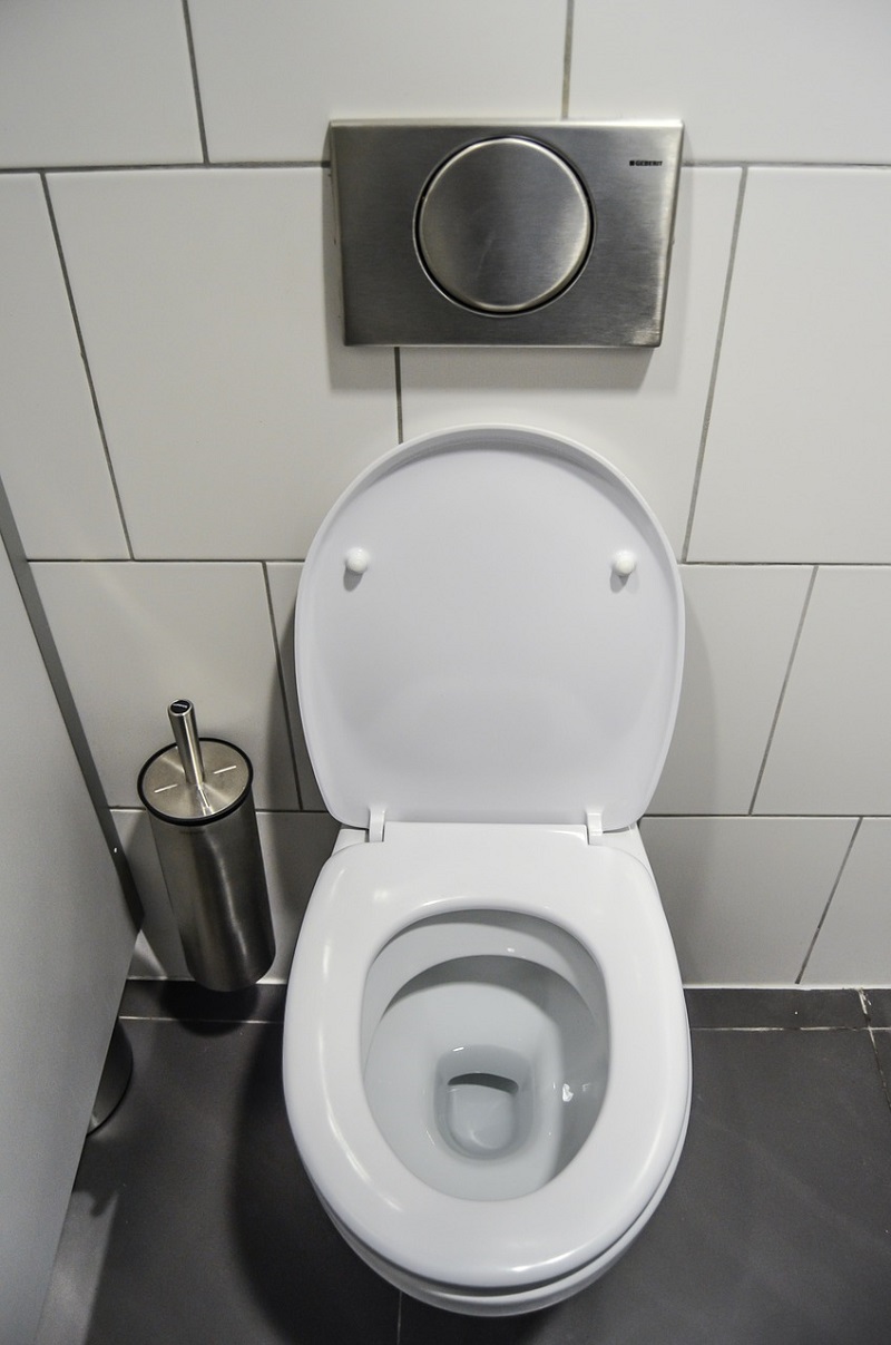 toilette-klo-wc-exhibitionist