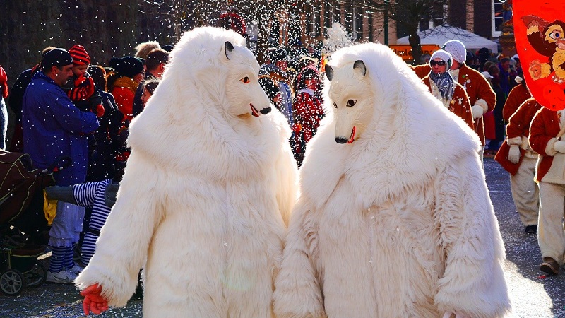 Bärenkostüm-fasnet-