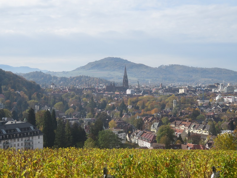 Freiburg Stadtansicht