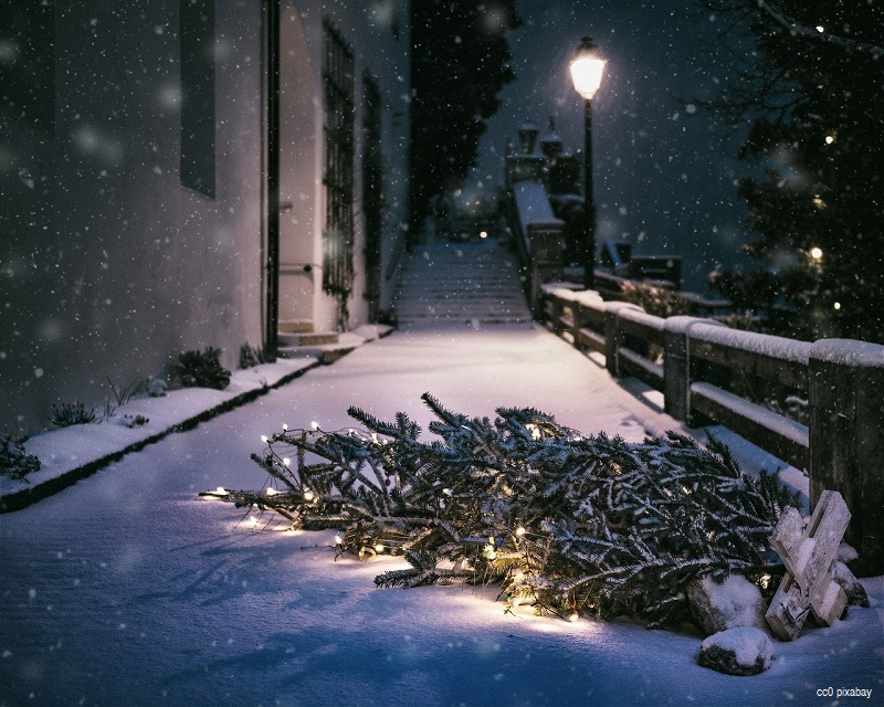 weihnachtsbaum-umgefallen-emmendingen