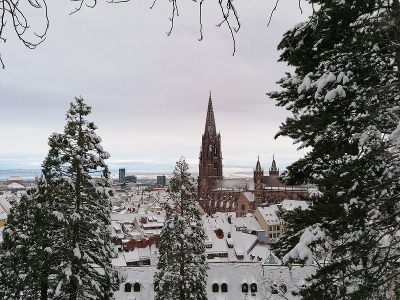Freiburg Münster Schnee