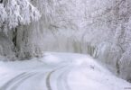 schnee-bäume-baum-winterlandschaft