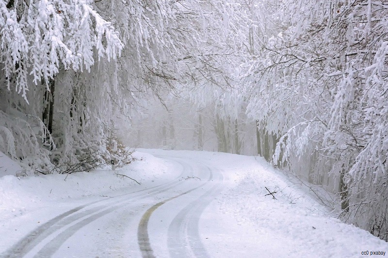 schnee-bäume-baum-winterlandschaft