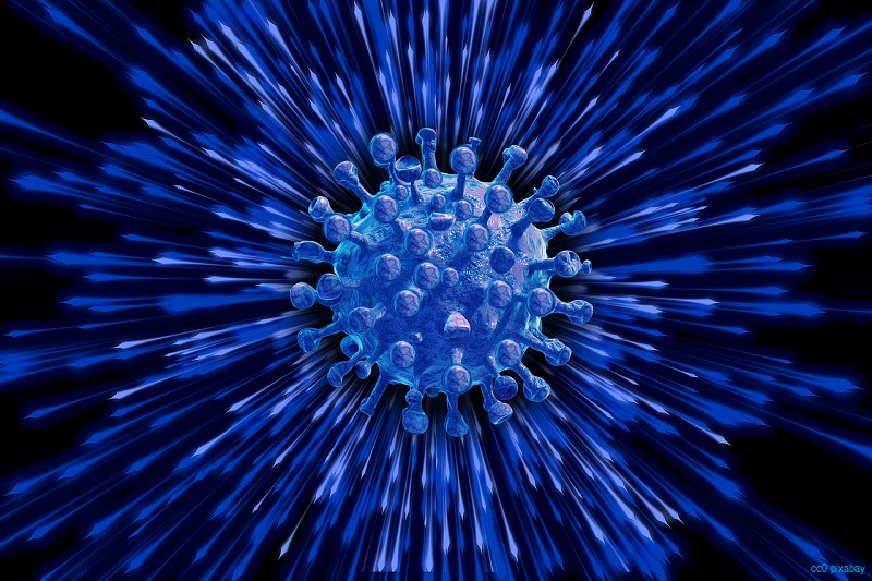 coronavirus-grafik