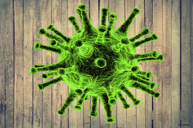 coronavirus-grün