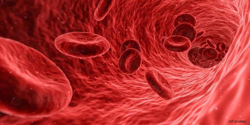 Blut-ader-thrombose