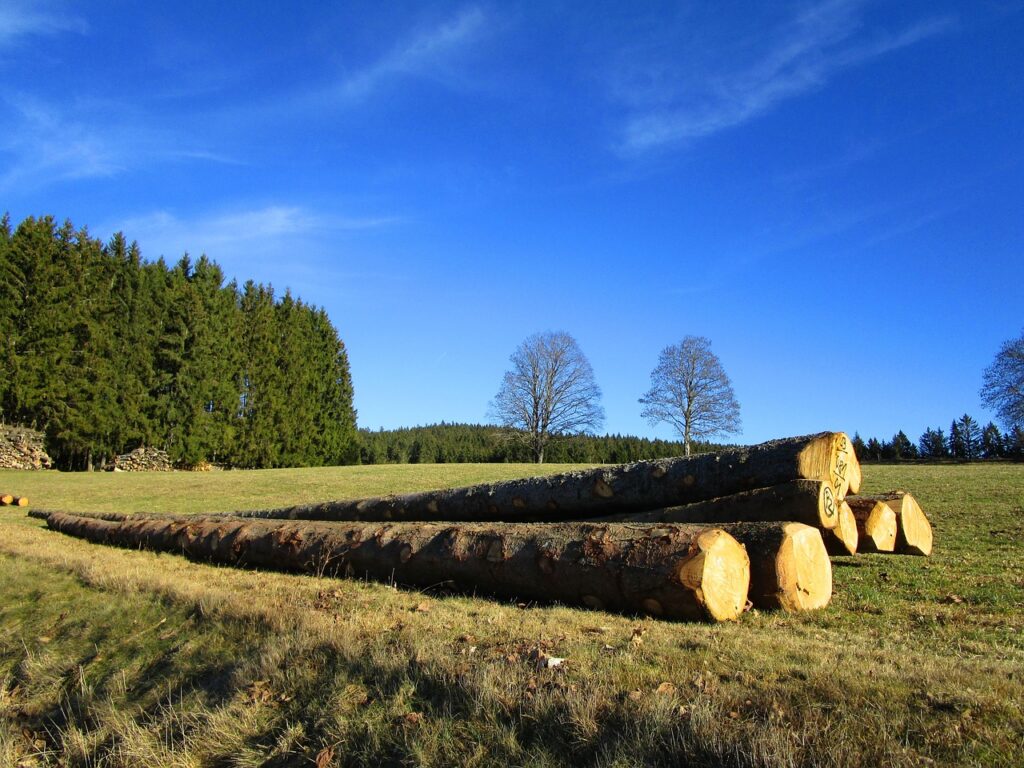 langholz-baumstämmen