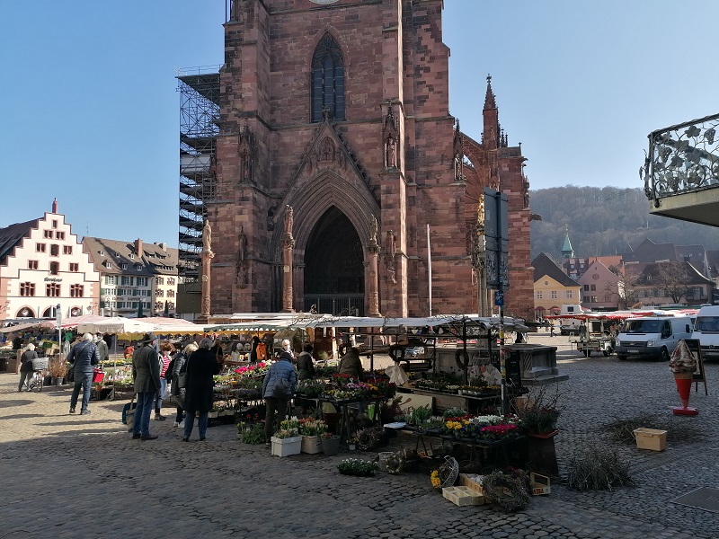 münstermarkt-freiburg