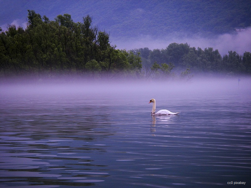 lago-maggiore