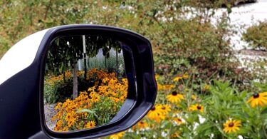autospiegel