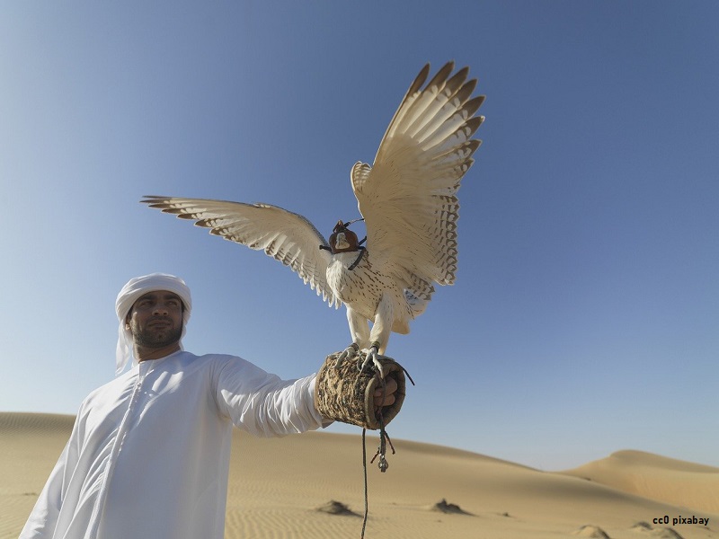 vereinigte-arabische-emirate