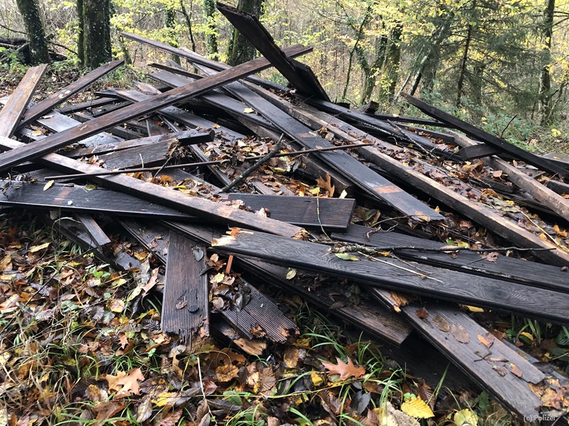 Holzdielen im Wald entsorgt