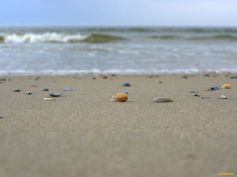 norderney-strand